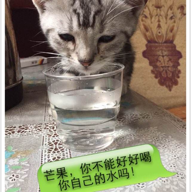 那不勒斯第二大学证书办理